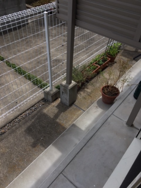 コーラルＫ 別部屋参考