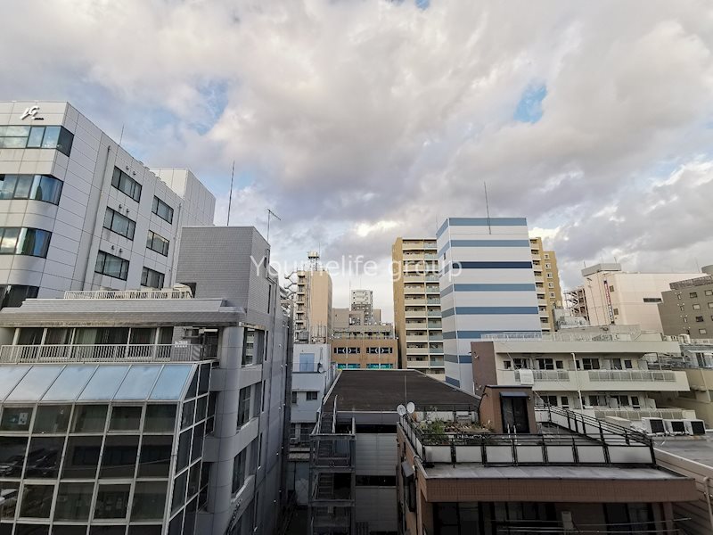 コンソラーレ本厚木 眺望