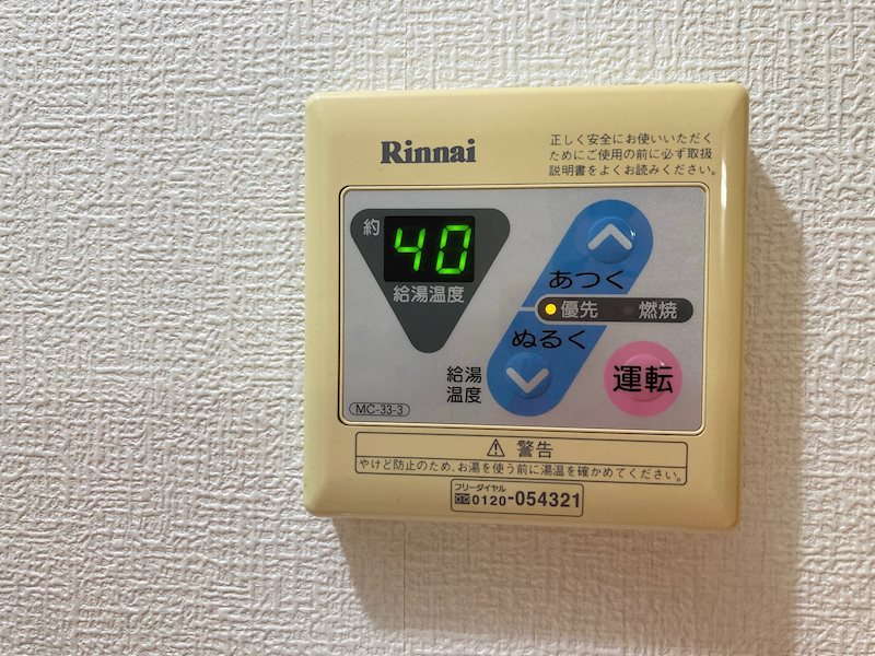 アンジェリカ その他