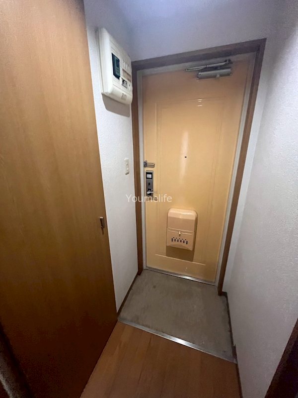 イーストピークV 玄関