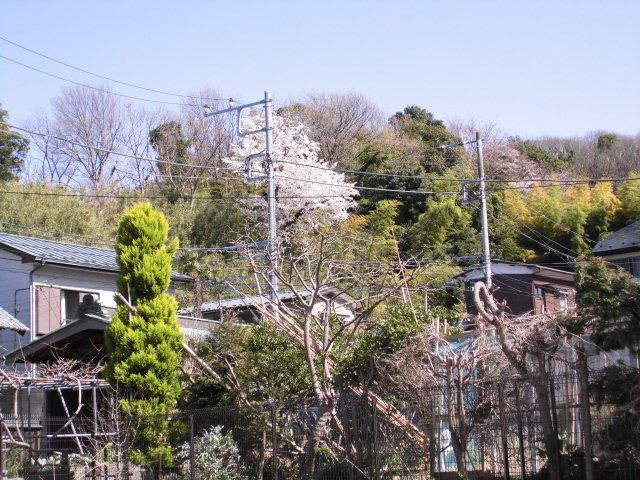 グランボナールⅡ 眺望