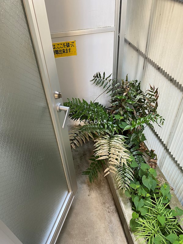 Vivace湘南(ビバーチェ湘南) ベランダ