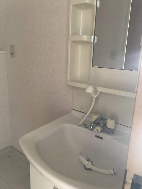 アルテメゾン  洗面所