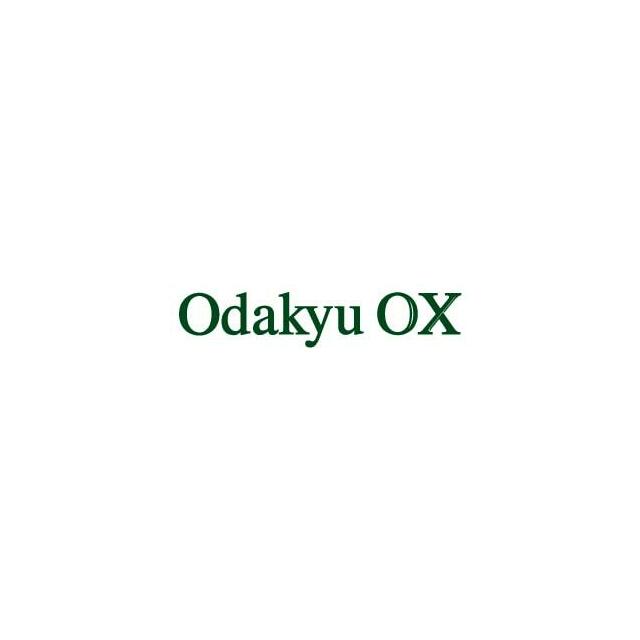 神奈川県藤沢市片瀬３丁目 ＯｄａｋｙｕＯＸ江ノ島店