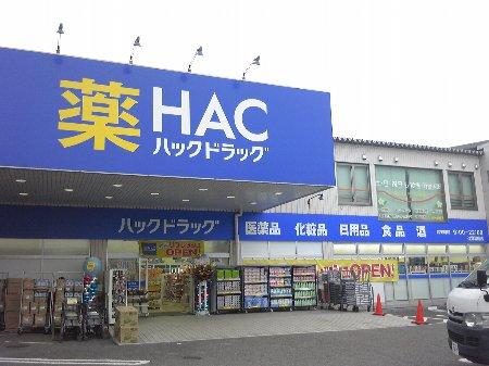 イーストピークⅠ ﾊｯｸﾄﾞﾗｯｸﾞ 辻堂新町店
