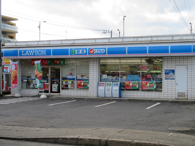 グレースハイツ ﾛｰｿﾝ 座間駅前店