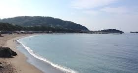 グランツ由比ガ浜 由比ヶ浜まで203m