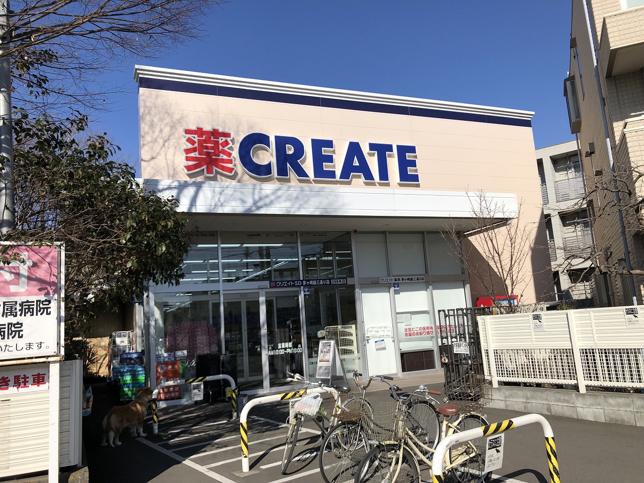 湘南アイランドコースト ｸﾘｴｲﾄｴｽ･ﾃﾞｨｰ茅ヶ崎雄三通り店