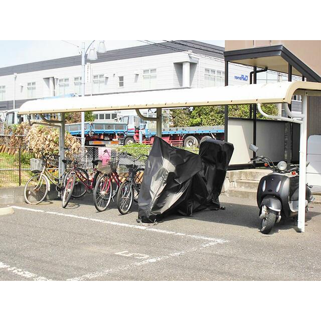 アムール その他
