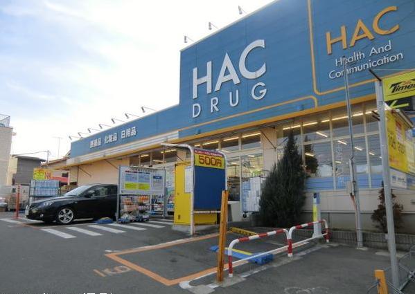 神奈川県藤沢市片瀬３丁目 ﾊｯｸﾄﾞﾗｯｸﾞ 江の島店